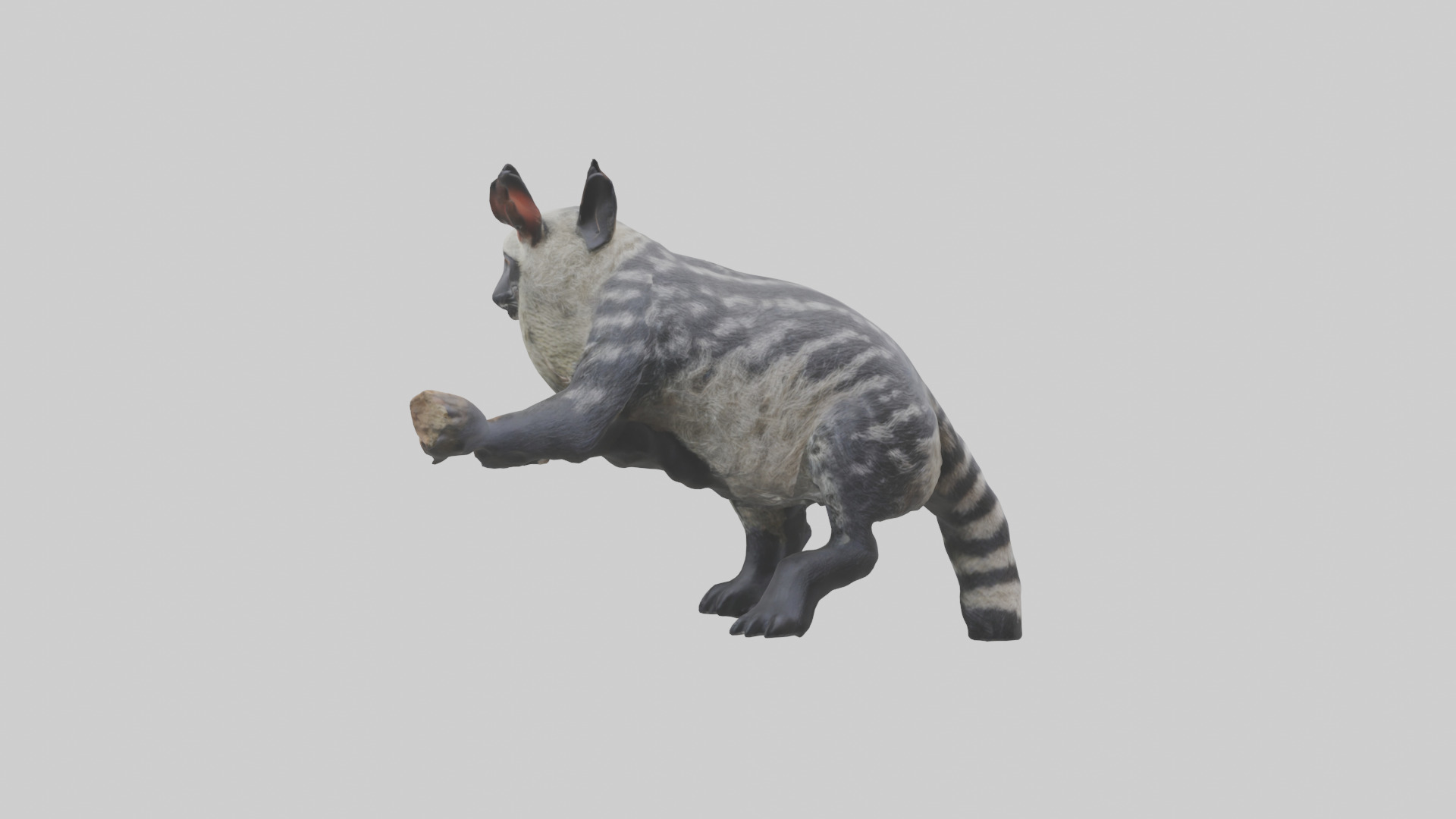 Civet climbing tree model 3D model_1