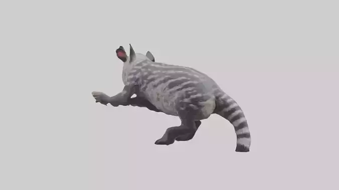 Civet climbing tree model 3D model
