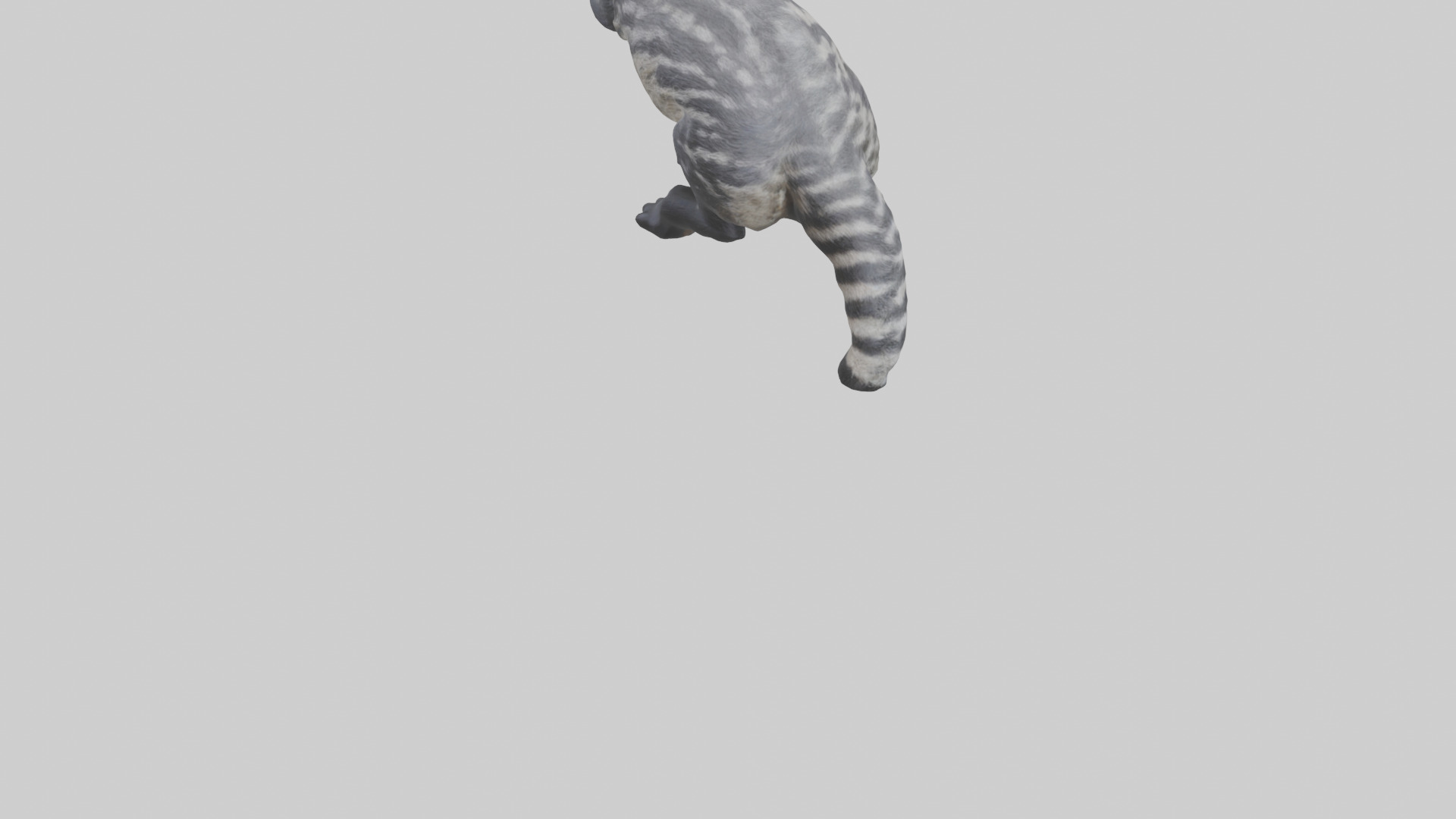 Civet climbing tree model 3D model_4