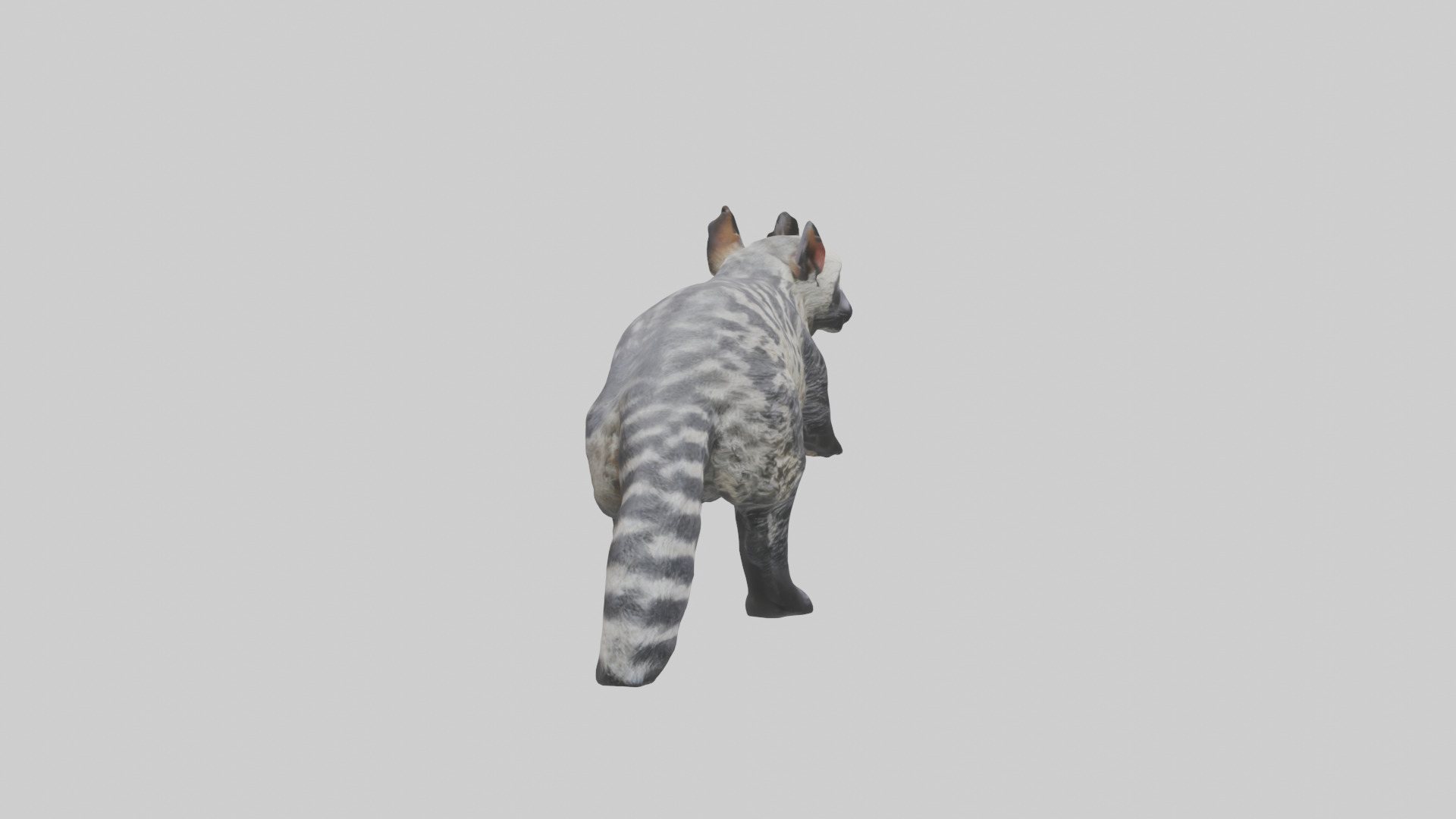 Civet climbing tree model 3D model_13