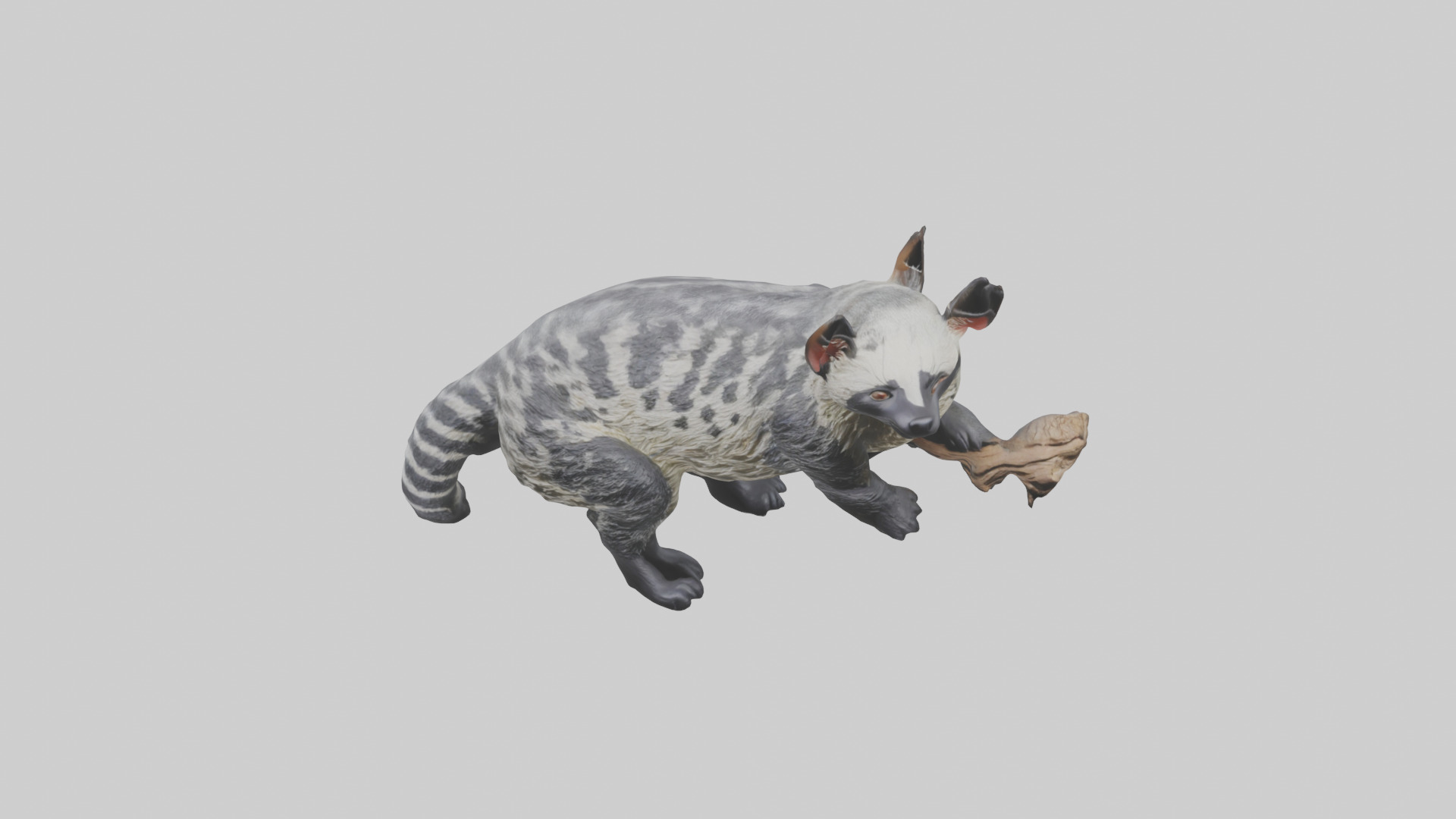 Civet climbing tree model 3D model_16