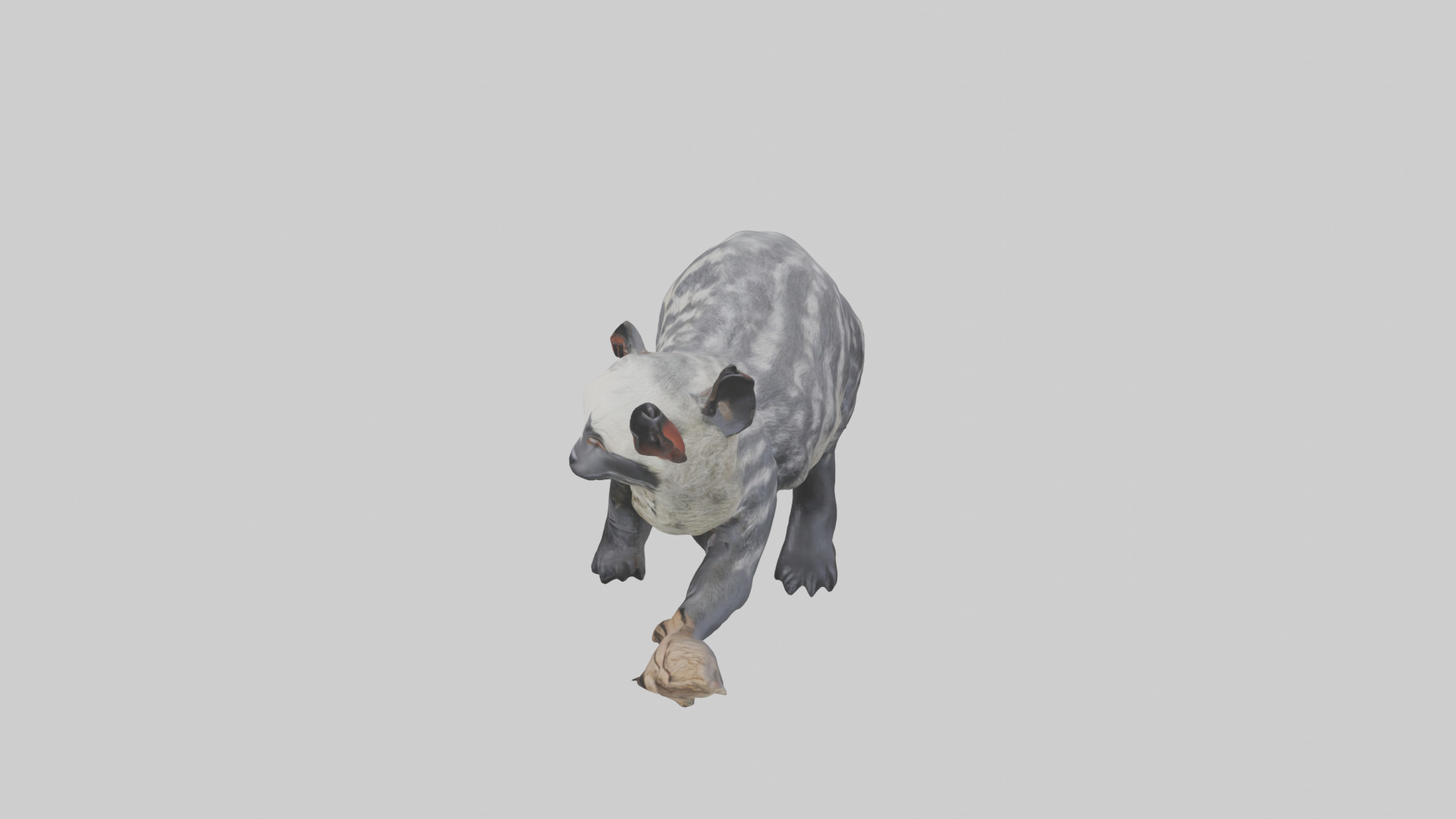 Civet climbing tree model 3D model_17