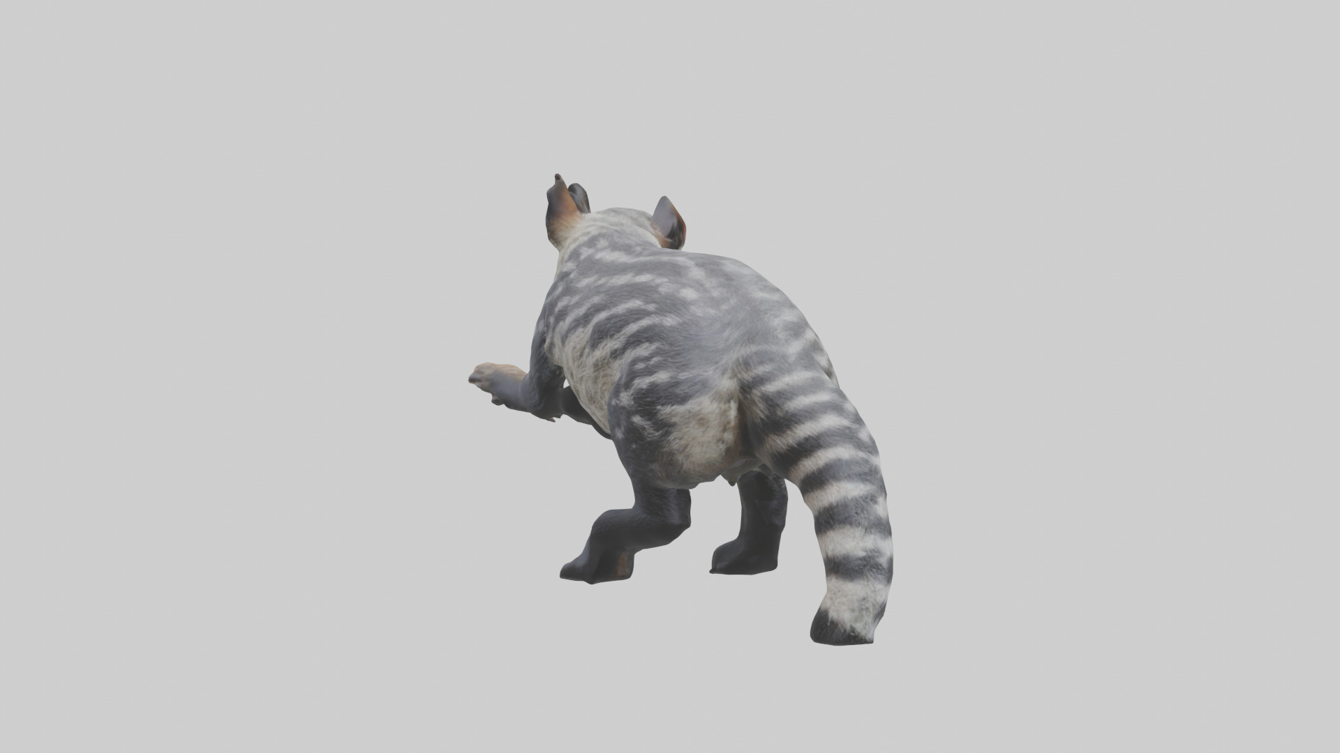 Civet climbing tree model 3D model_2