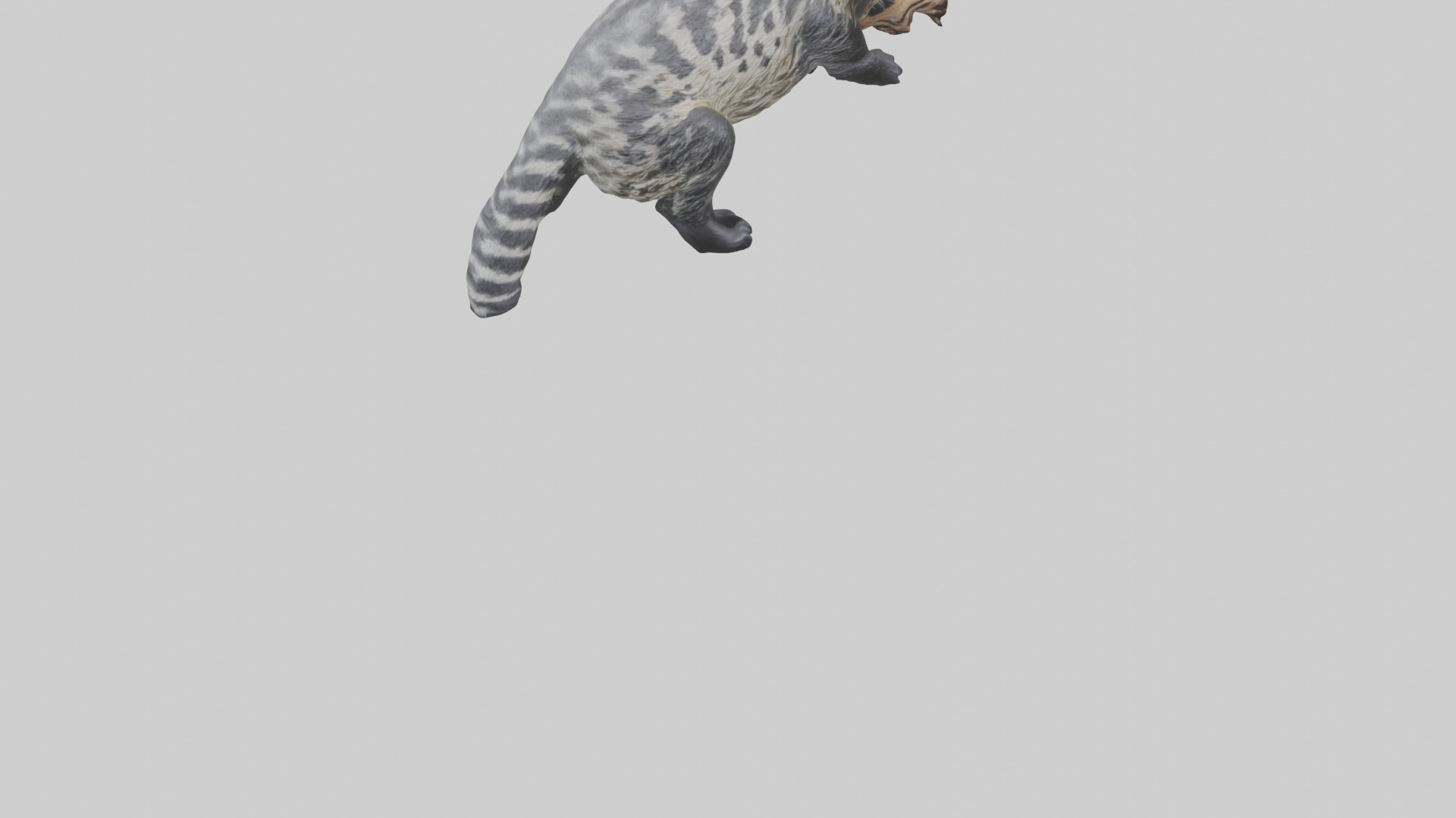 Civet climbing tree model 3D model_6
