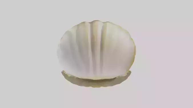 Clam opening shell model