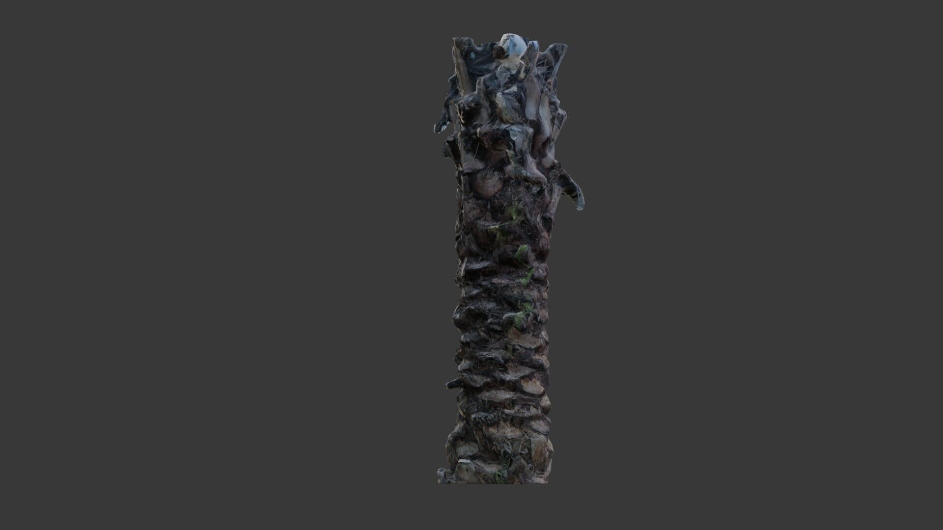 Tall Palm Tree Trunk - 3D Scanned Model Low-poly 3D model_6