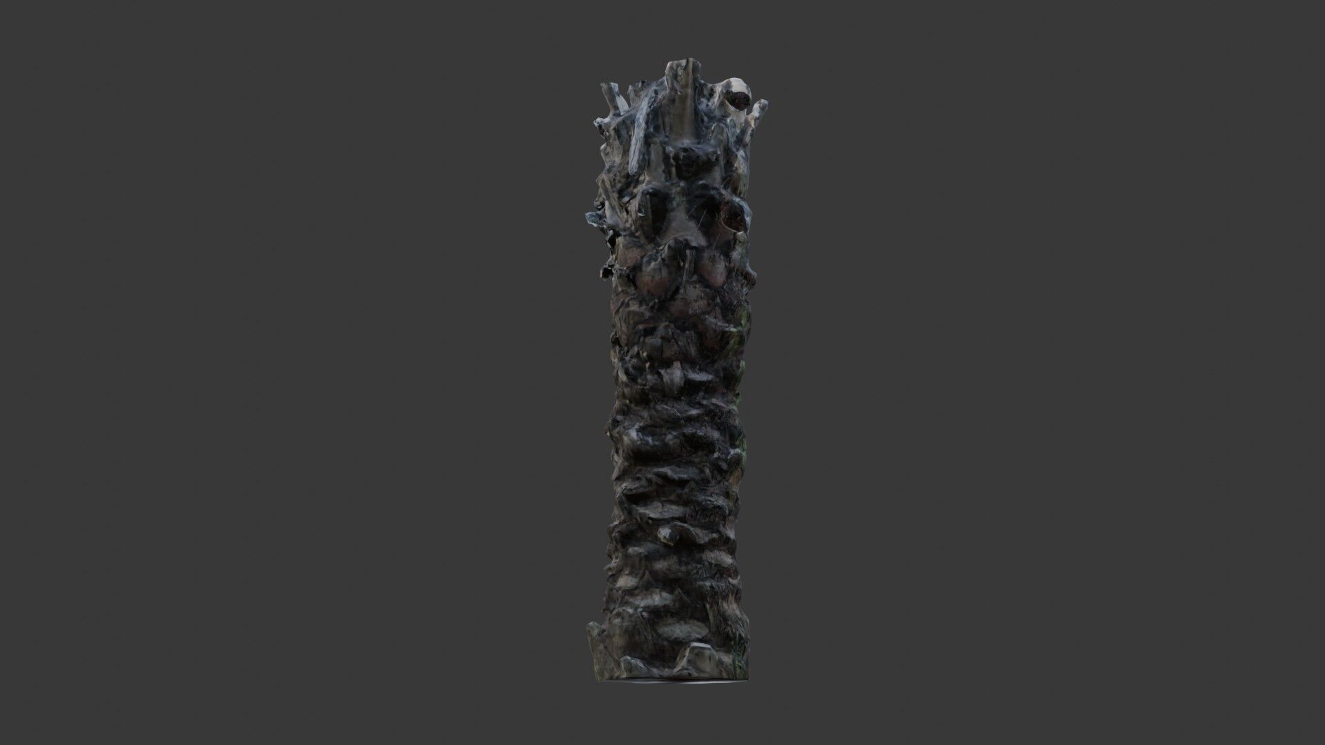 Tall Palm Tree Trunk - 3D Scanned Model Low-poly 3D model_7