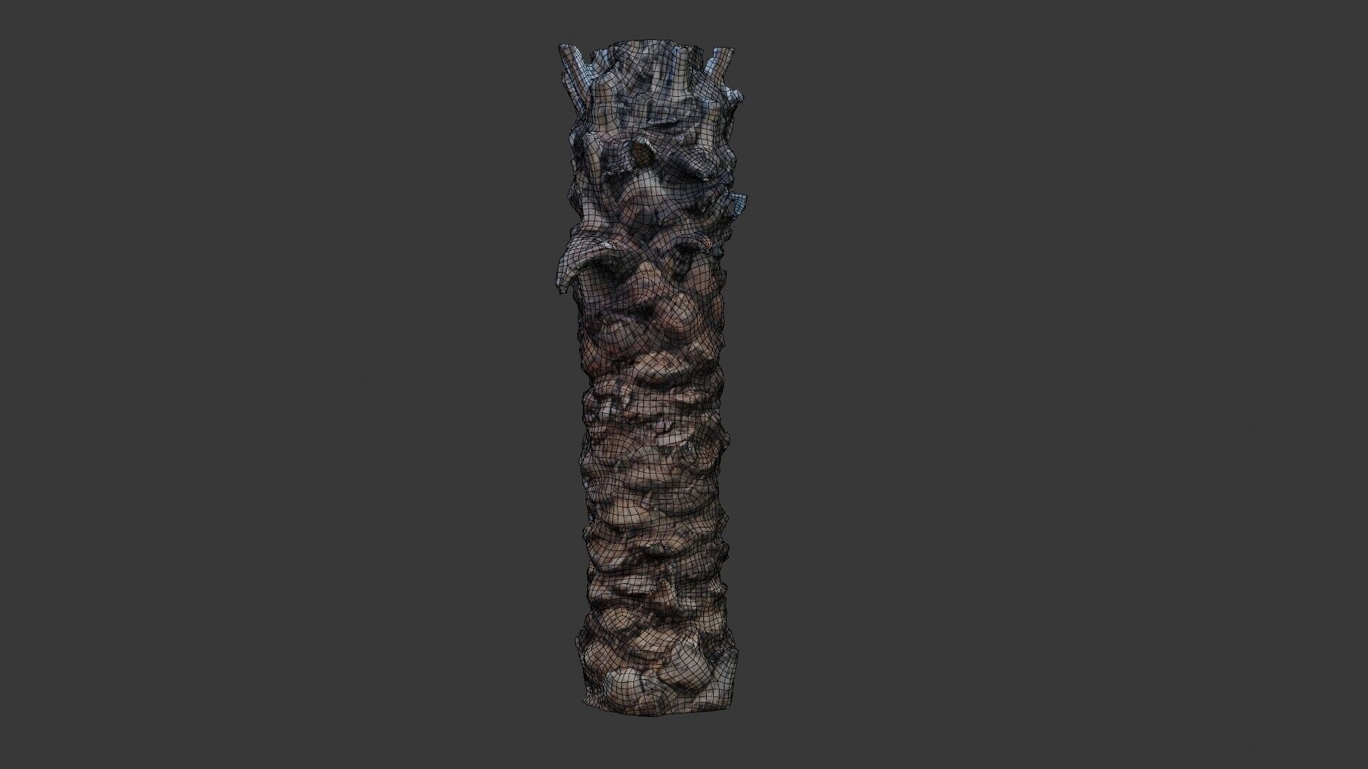 Tall Palm Tree Trunk - 3D Scanned Model Low-poly 3D model_2