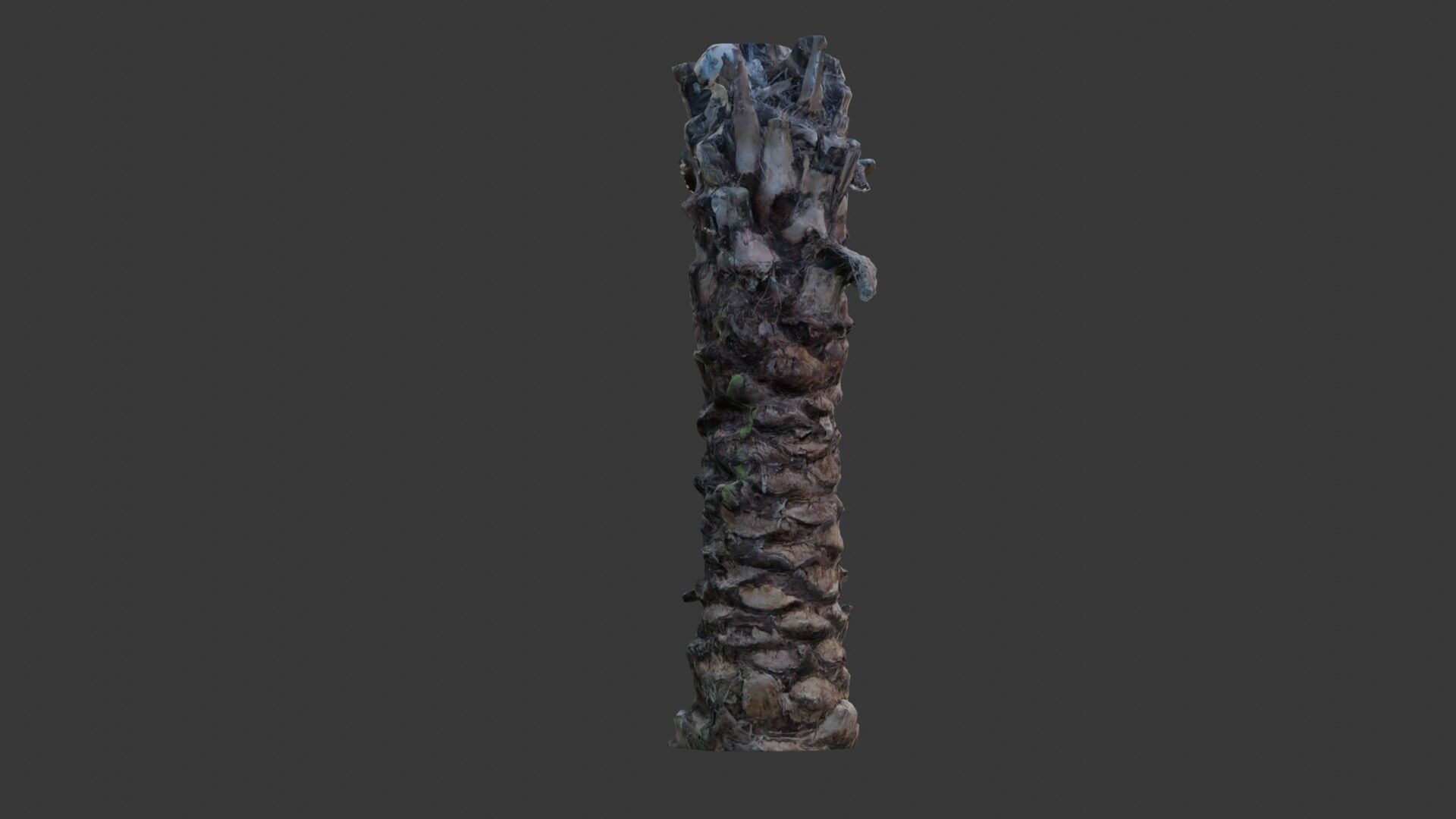 Tall Palm Tree Trunk - 3D Scanned Model Low-poly 3D model_5