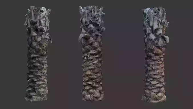 Tall Palm Tree Trunk - 3D Scanned Model