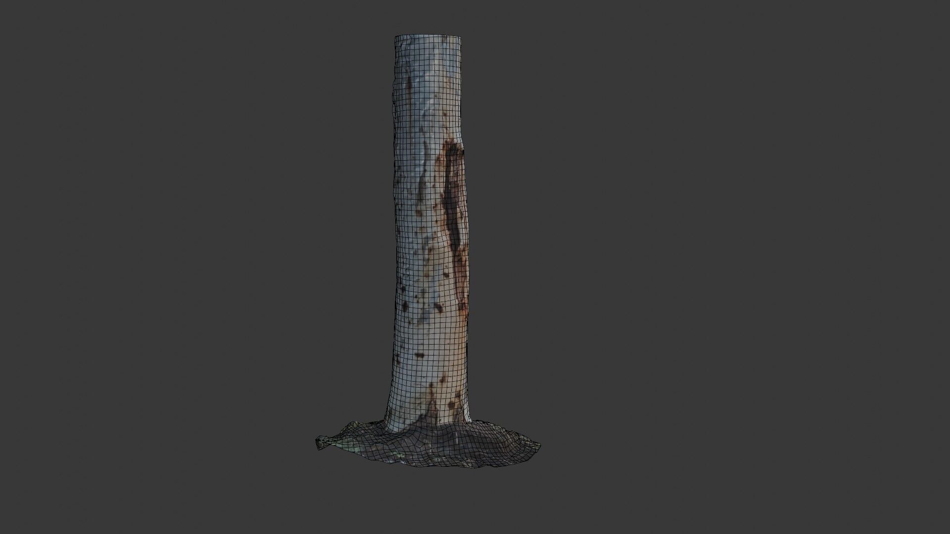 Realistic Eucalyptus Tree Trunk - 3D Scanned Model Low-poly 3D model_2