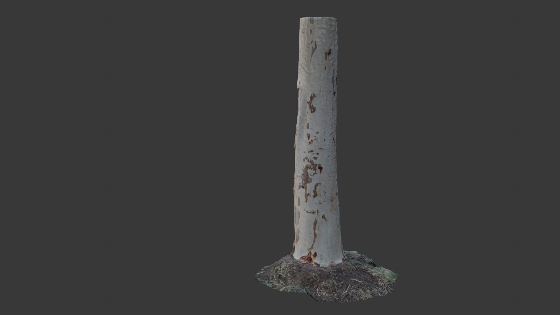 Realistic Eucalyptus Tree Trunk - 3D Scanned Model Low-poly 3D model_6