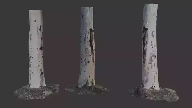 Realistic Eucalyptus Tree Trunk - 3D Scanned Model