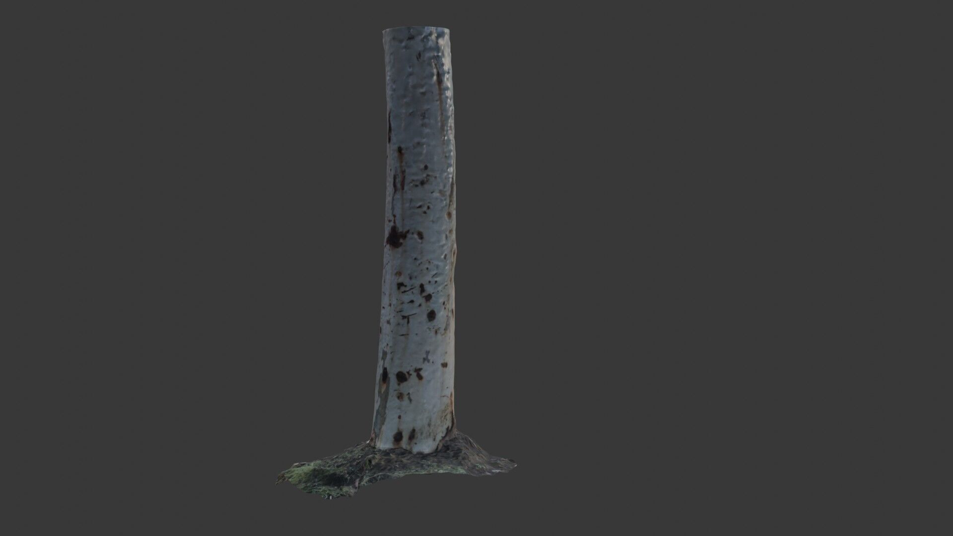 Realistic Eucalyptus Tree Trunk - 3D Scanned Model Low-poly 3D model_3