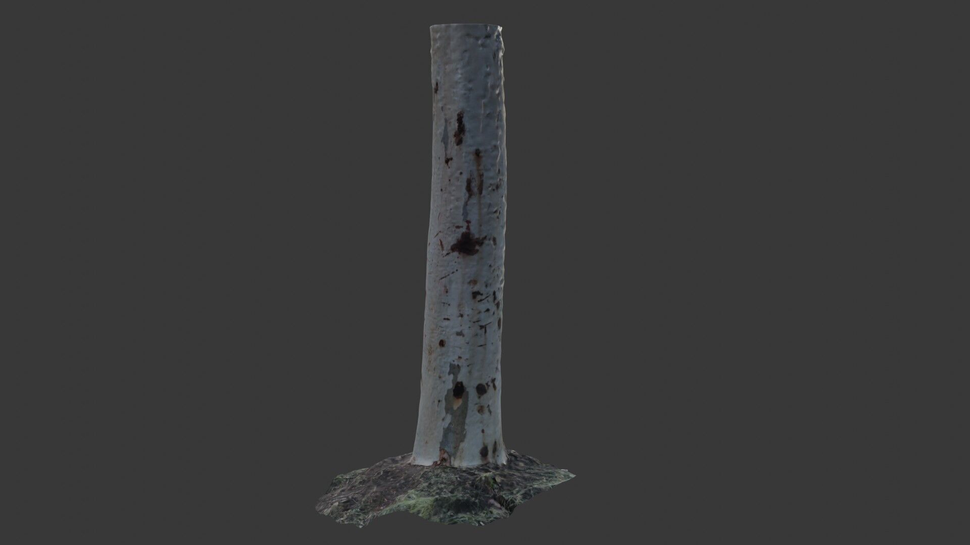 Realistic Eucalyptus Tree Trunk - 3D Scanned Model Low-poly 3D model_4