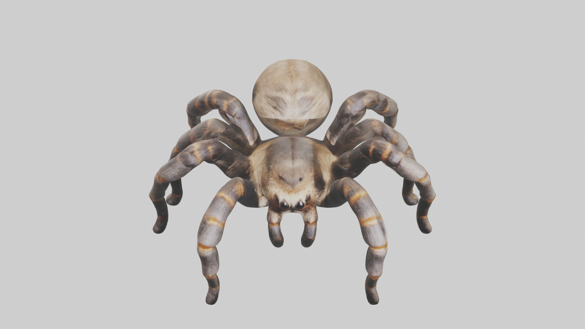 Tarantula Legs Model Low-poly 3D model_16