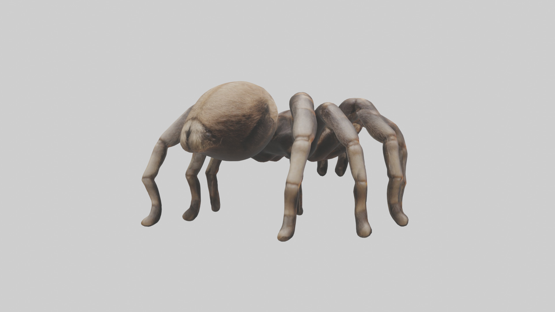 Tarantula Legs Model Low-poly 3D model_2