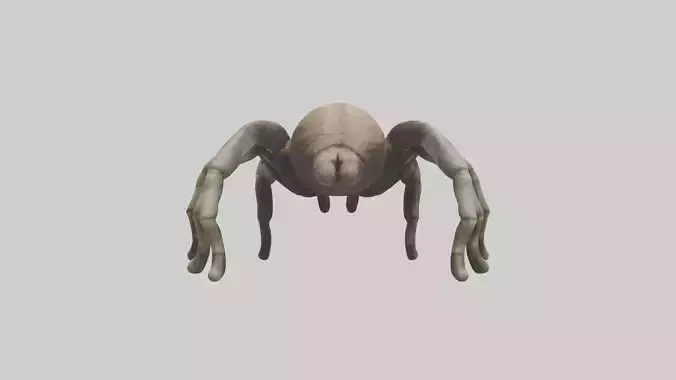 Tarantula Legs Model
