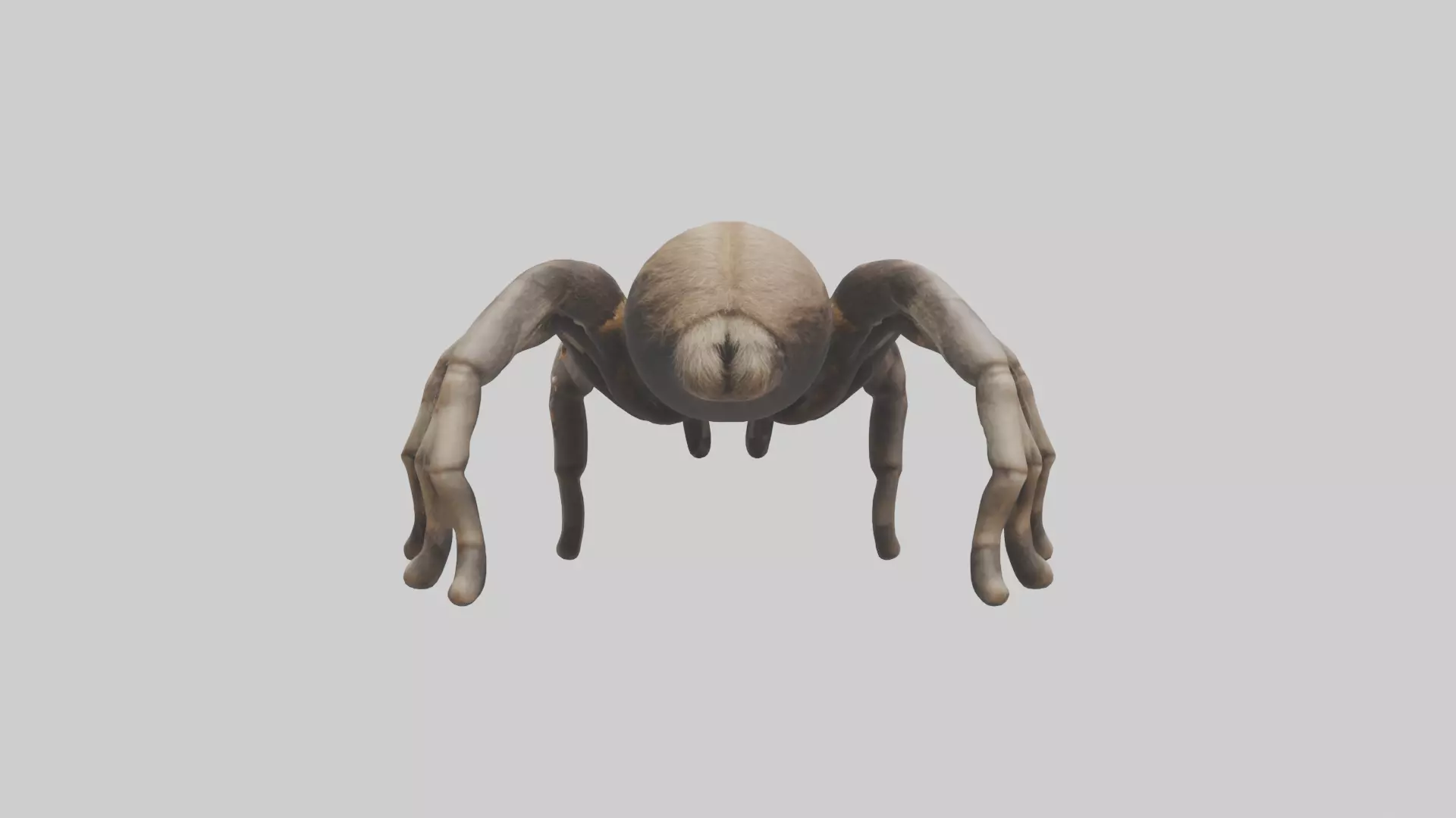 Tarantula Legs Model Low-poly 3D model_0