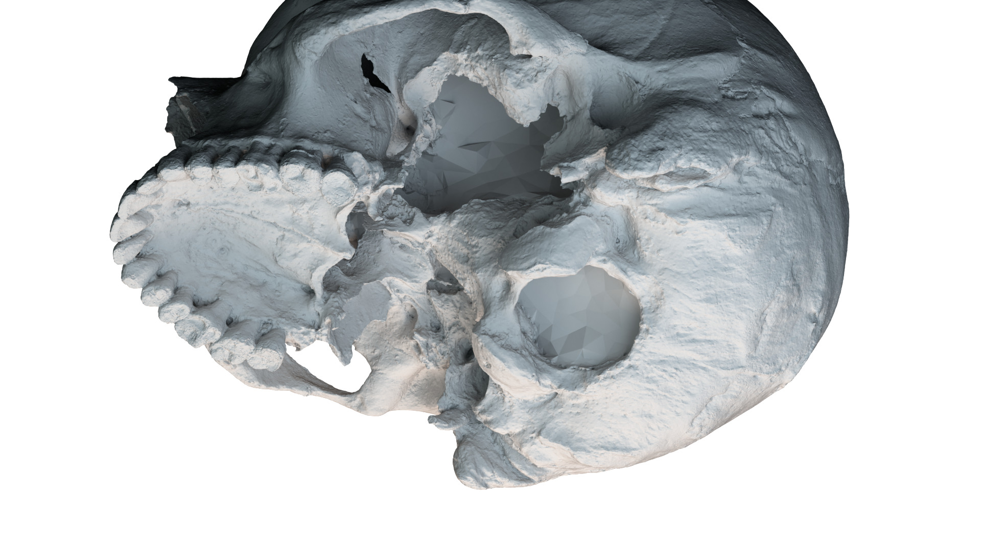 Real Ancient Human Skull Scan Low-poly 3D model_13