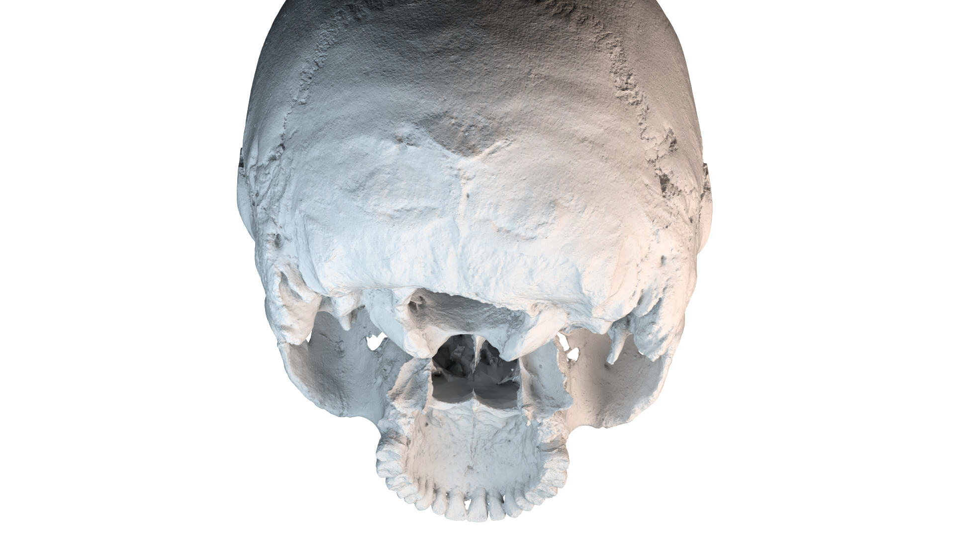 Real Ancient Human Skull Scan Low-poly 3D model_14