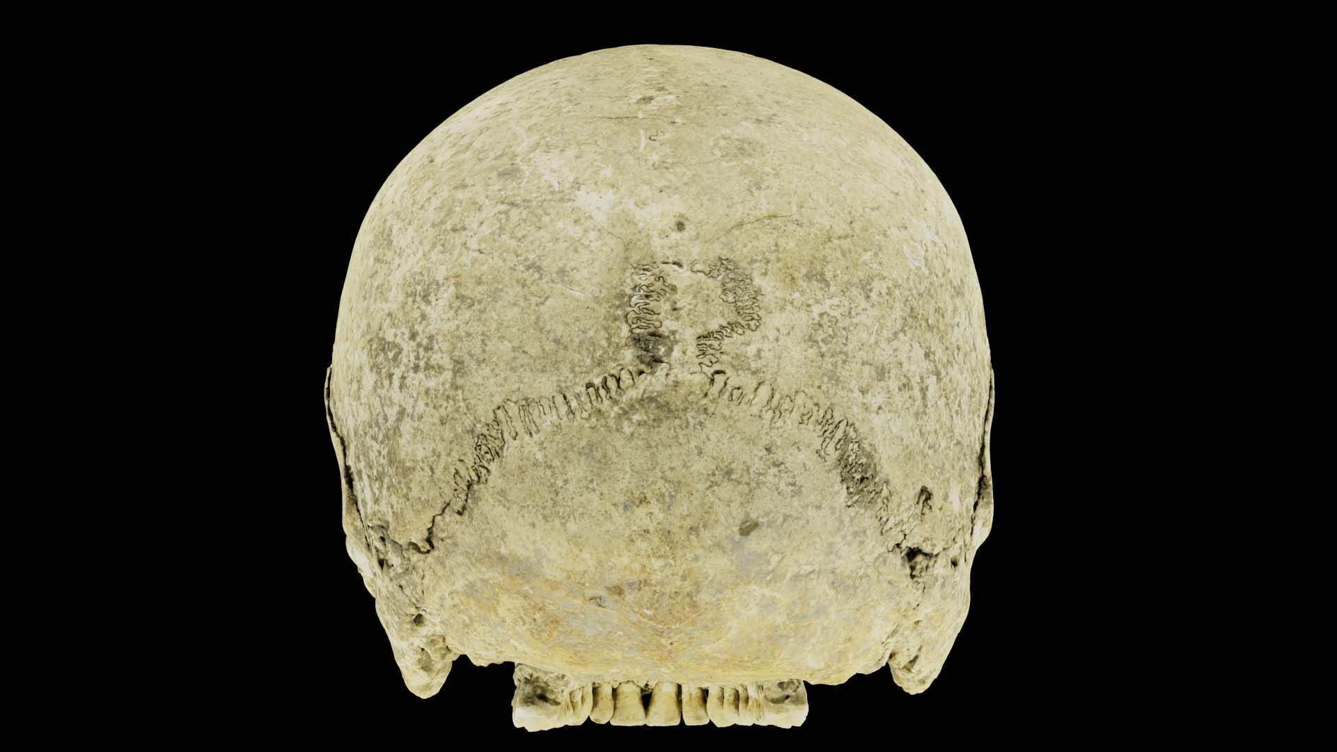 Real Ancient Human Skull Scan Low-poly 3D model_15