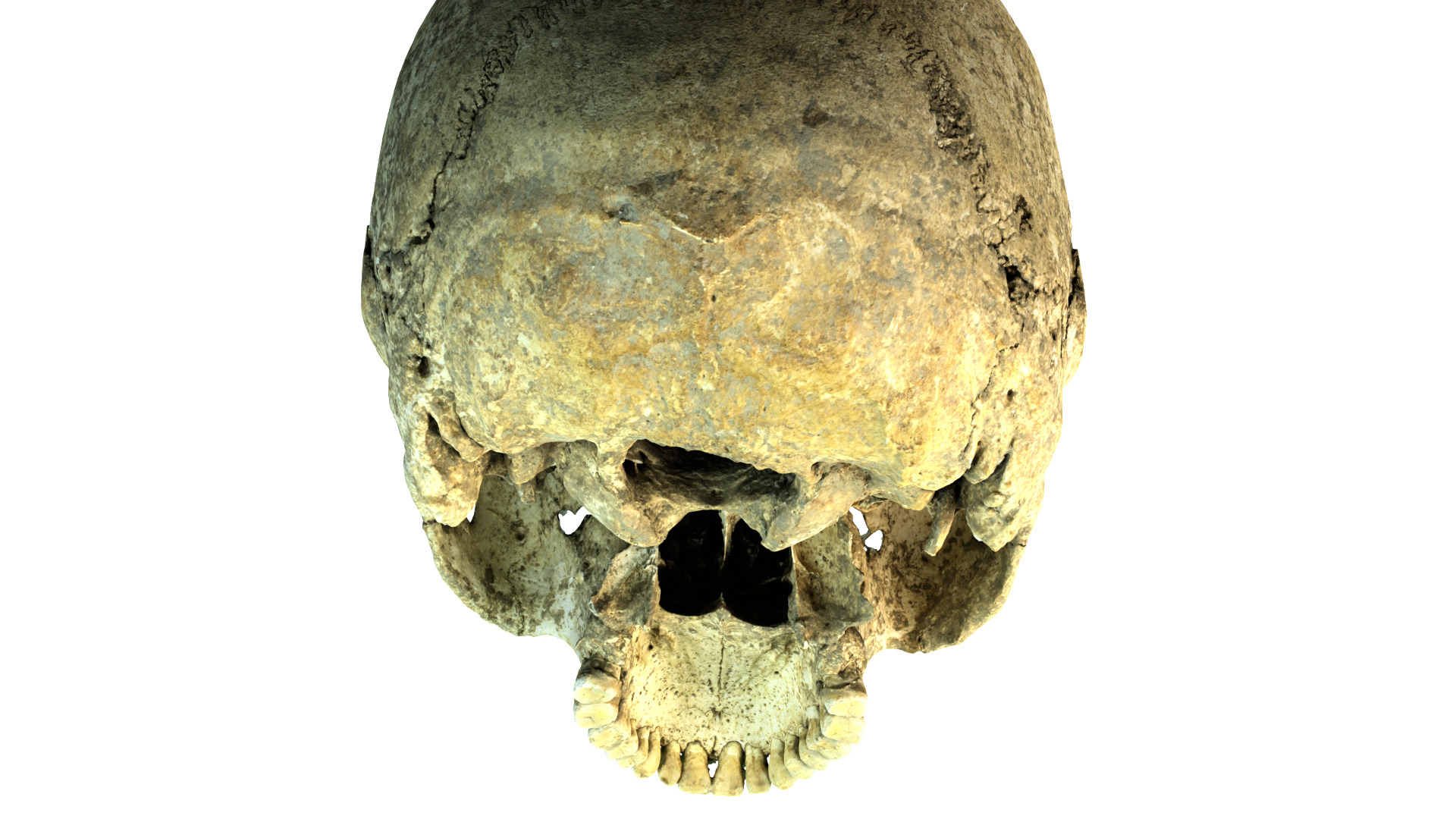 Real Ancient Human Skull Scan Low-poly 3D model_6