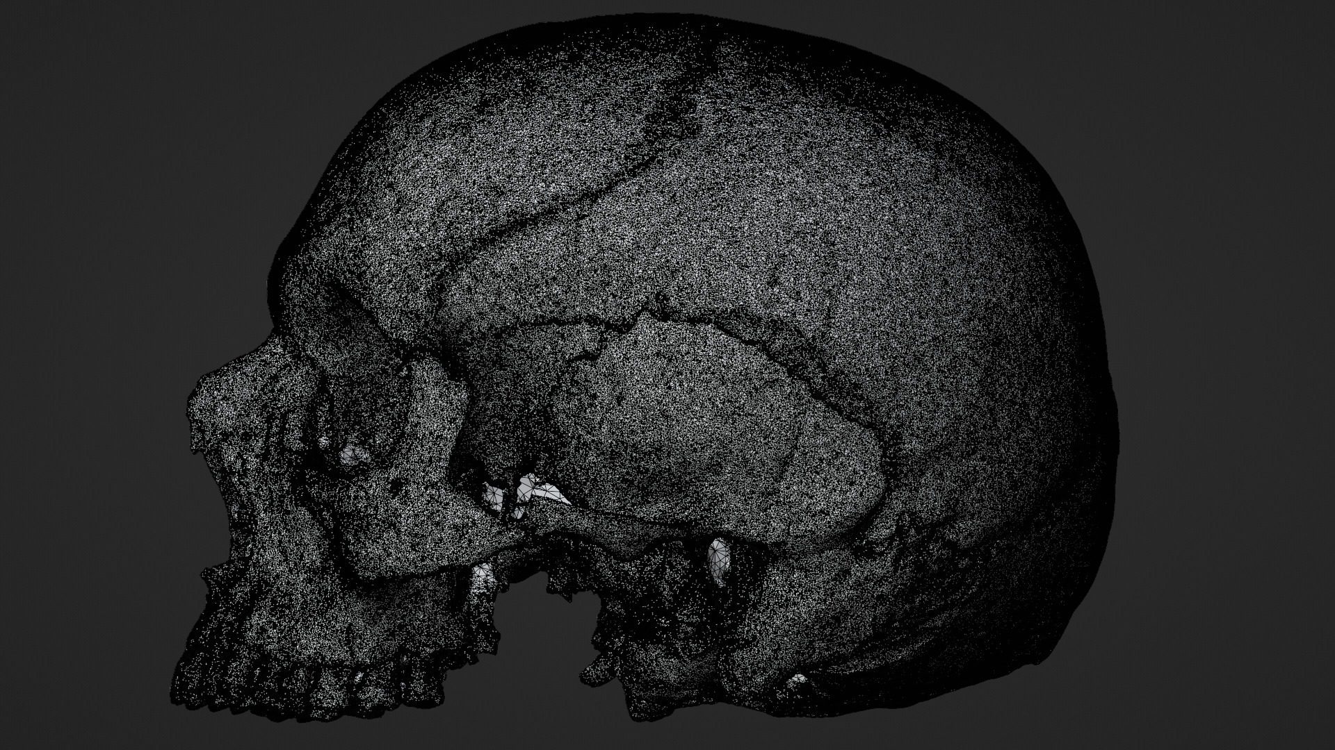 Real Ancient Human Skull Scan Low-poly 3D model_19