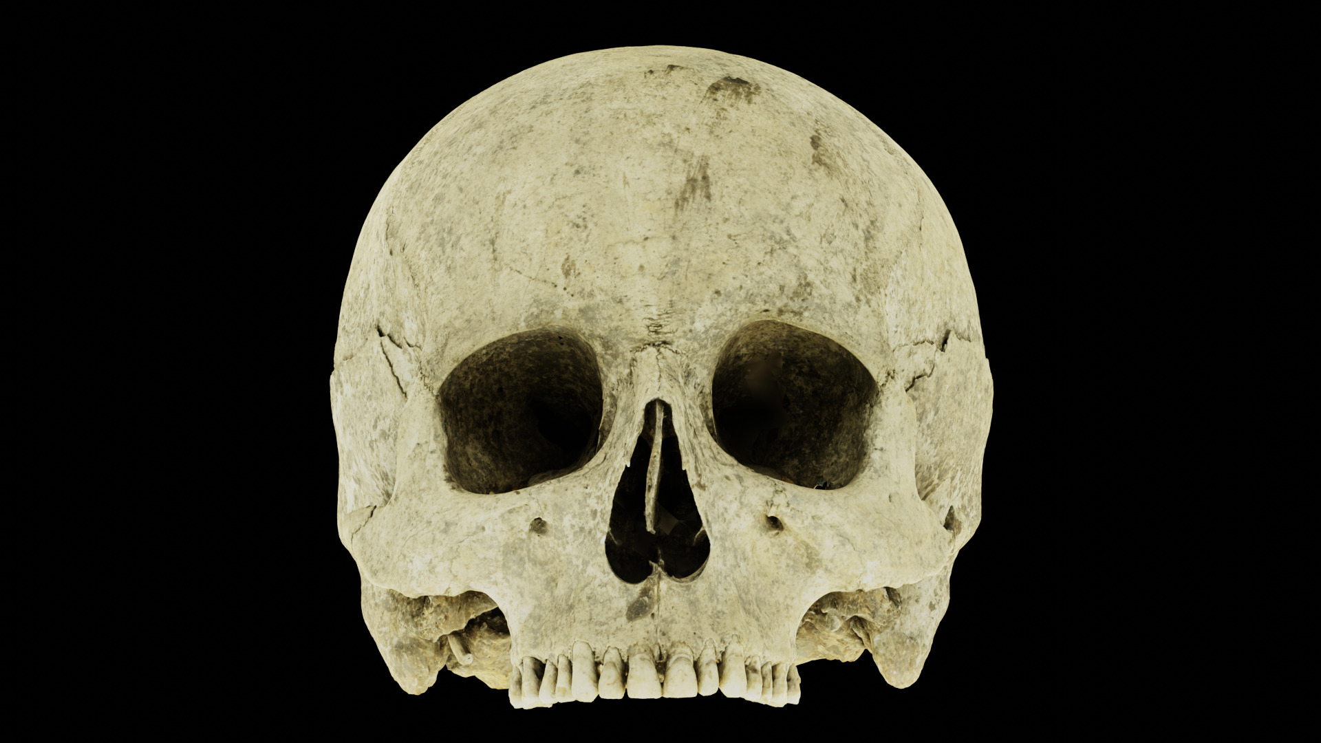 Real Ancient Human Skull Scan Low-poly 3D model_16