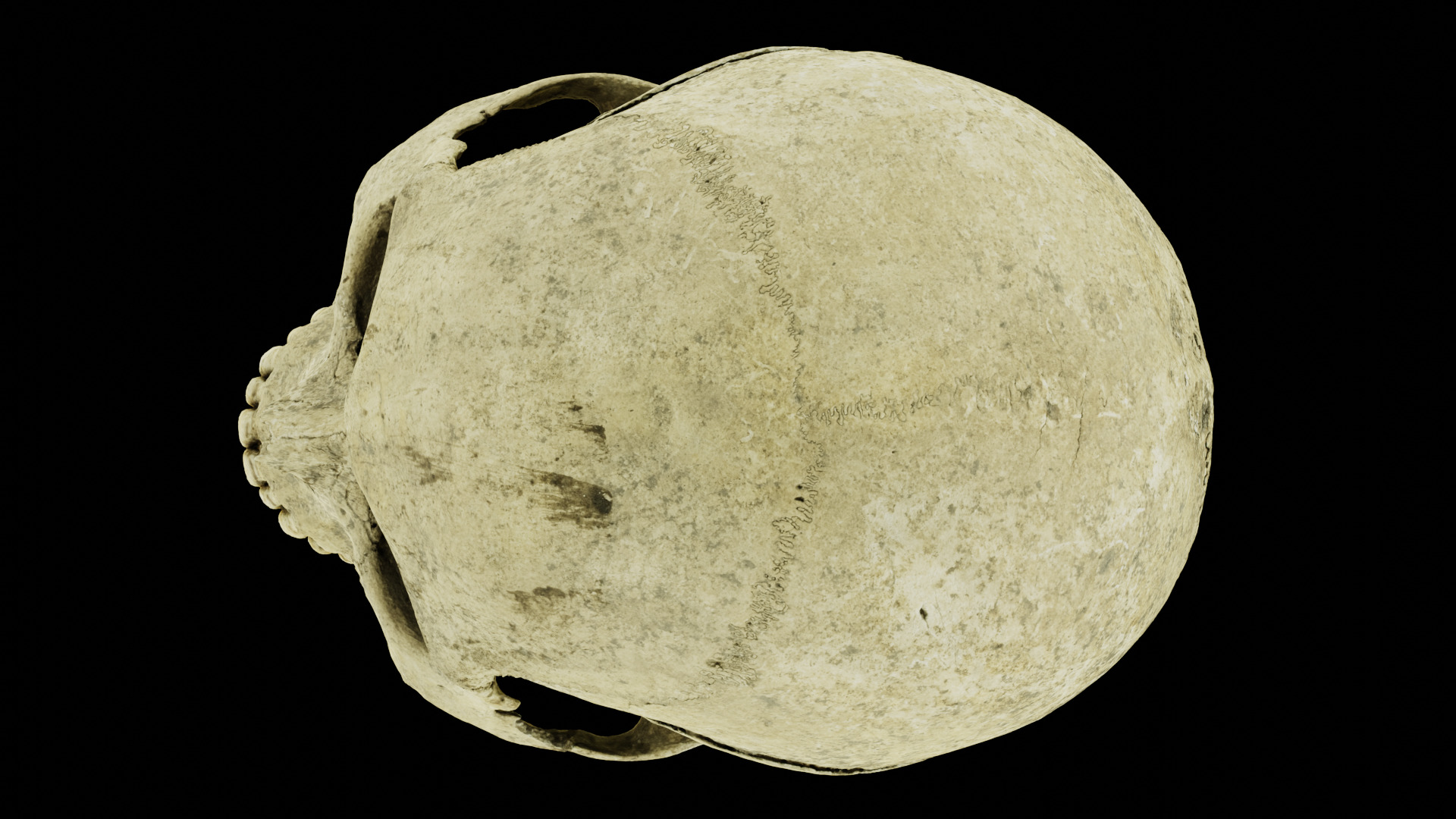 Real Ancient Human Skull Scan Low-poly 3D model_20