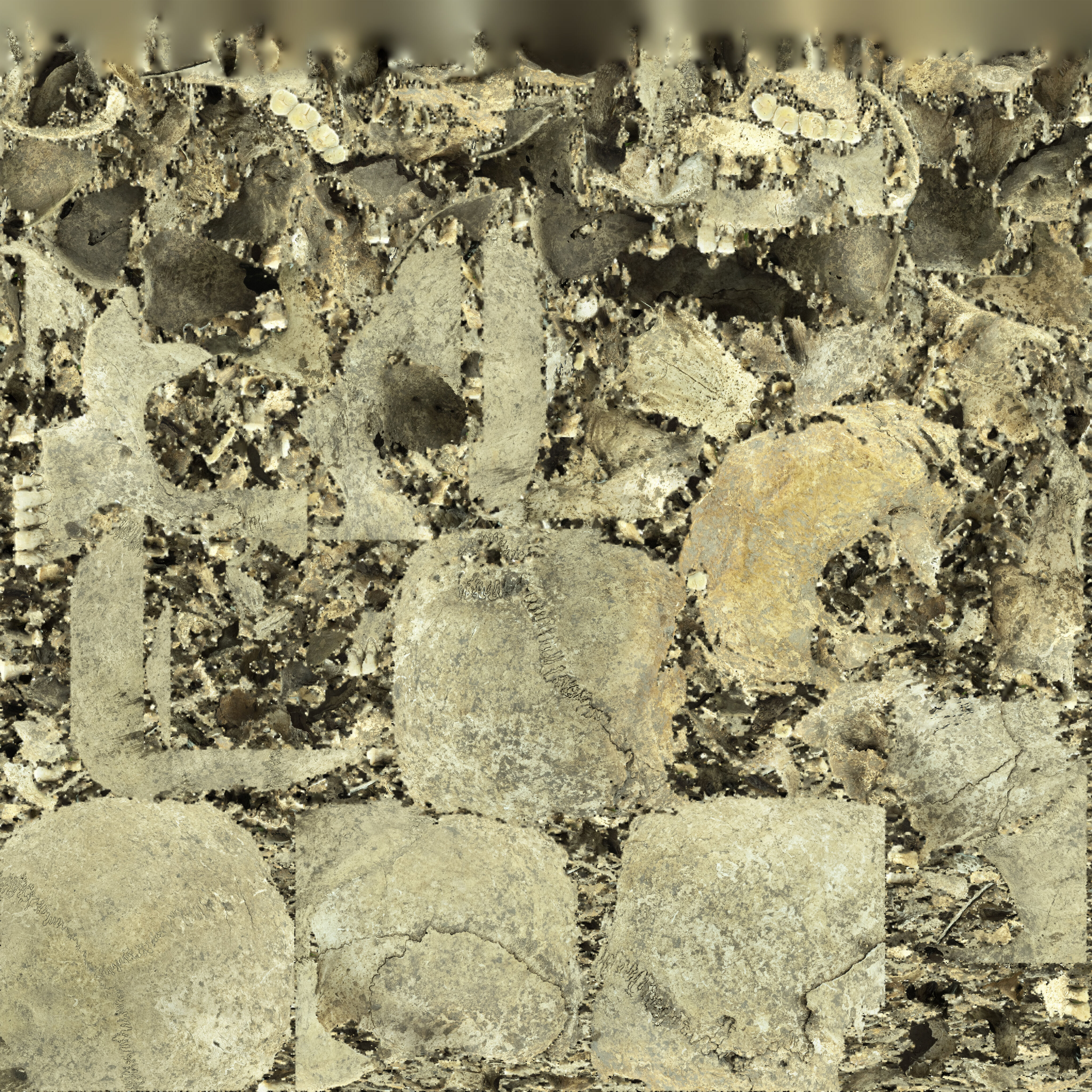 Real Ancient Human Skull Scan Low-poly 3D model_23