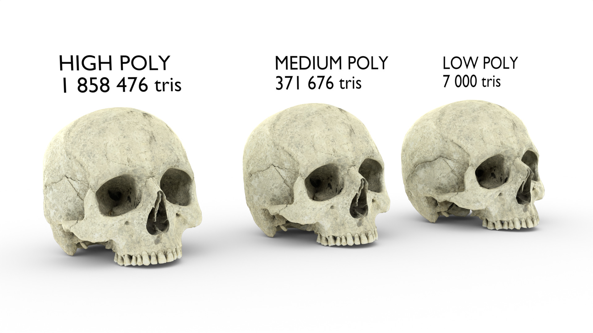 Real Ancient Human Skull Scan Low-poly 3D model_1
