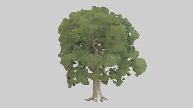 Sycamore tree model 3D model 5
