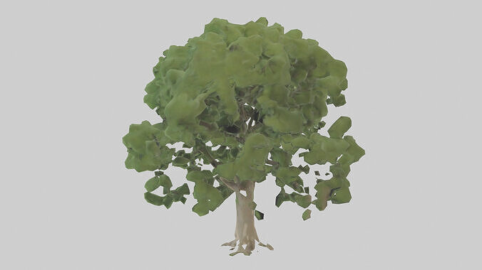 Sycamore tree model 3D model 3
