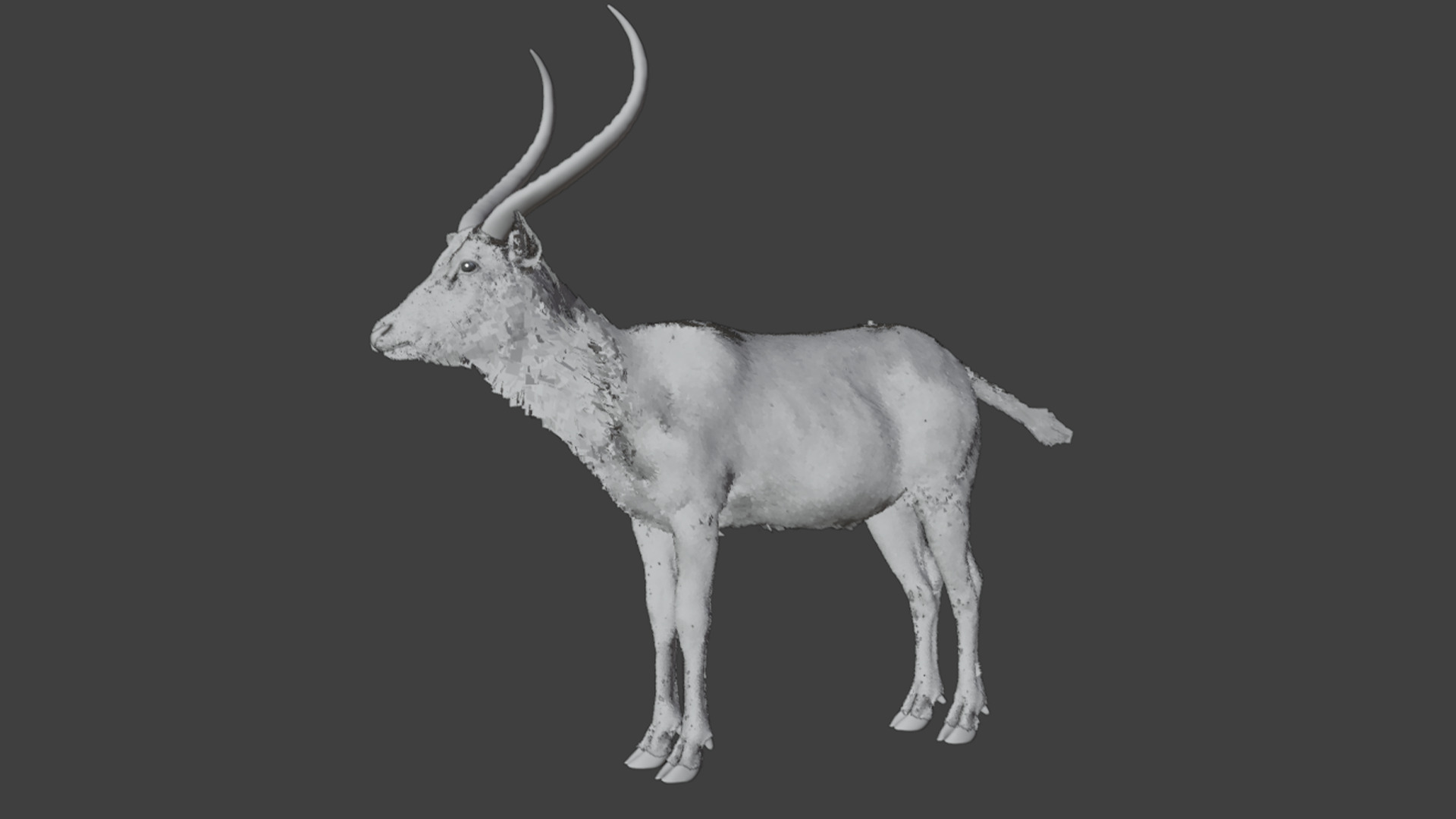 Lechwe Antelope Realistic Animated 3D model_15