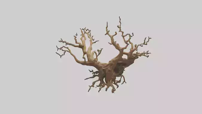 Floating Root Sculpture model