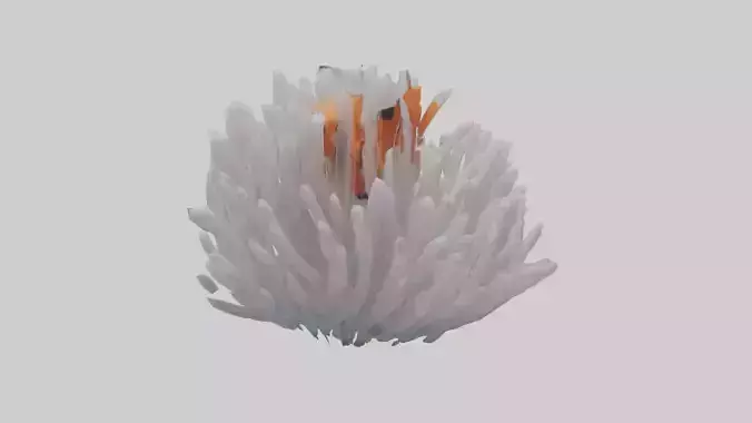 Clownfish hiding in anemone model