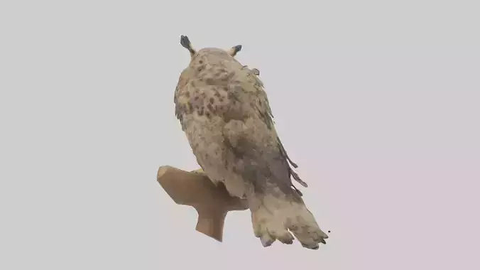 Eurasian Eagle Owl perching model 2