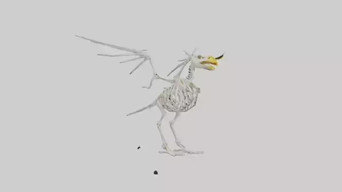 Eagle Skeleton model
