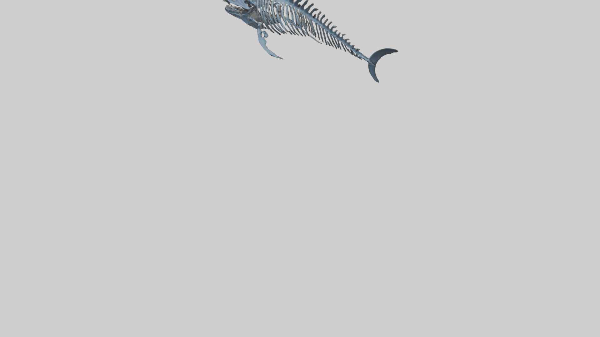 Dunkleosteus Skeleton model Low-poly 3D model_5