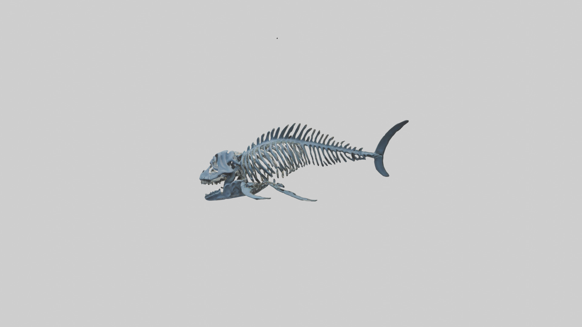 Dunkleosteus Skeleton model Low-poly 3D model_10