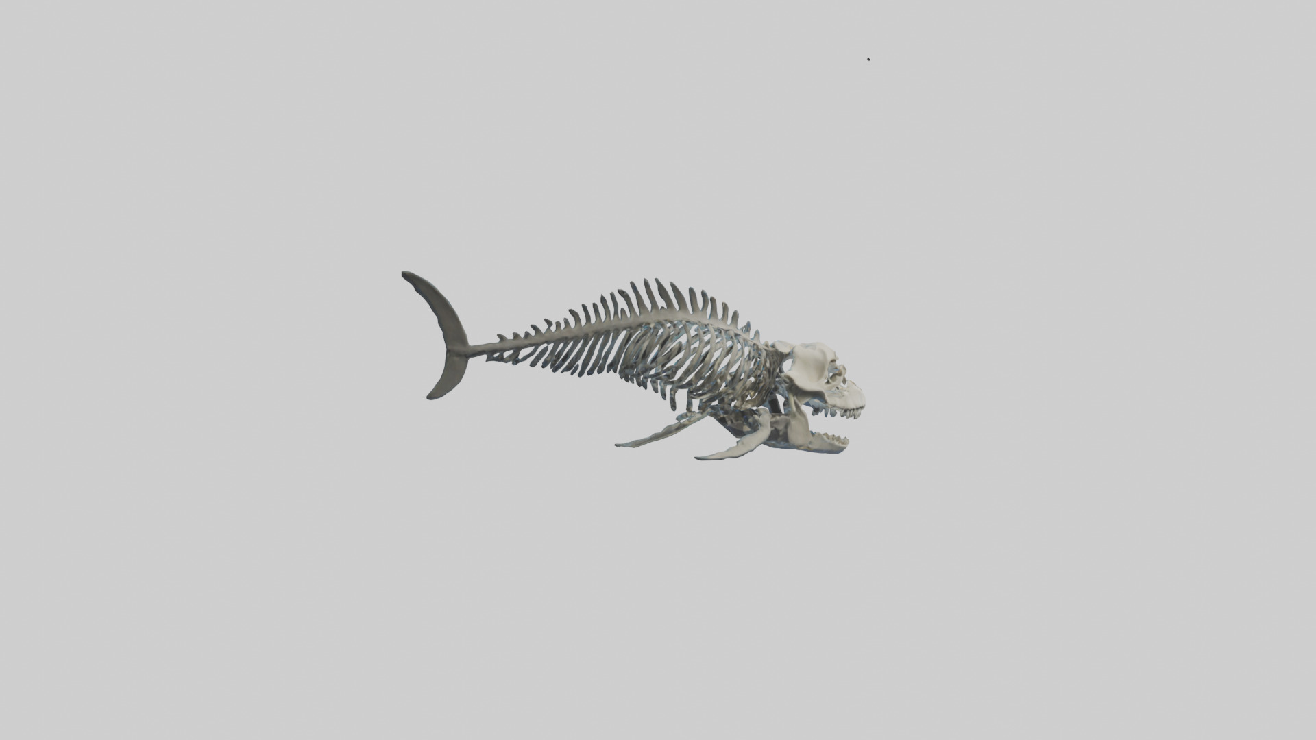 Dunkleosteus Skeleton model Low-poly 3D model_1