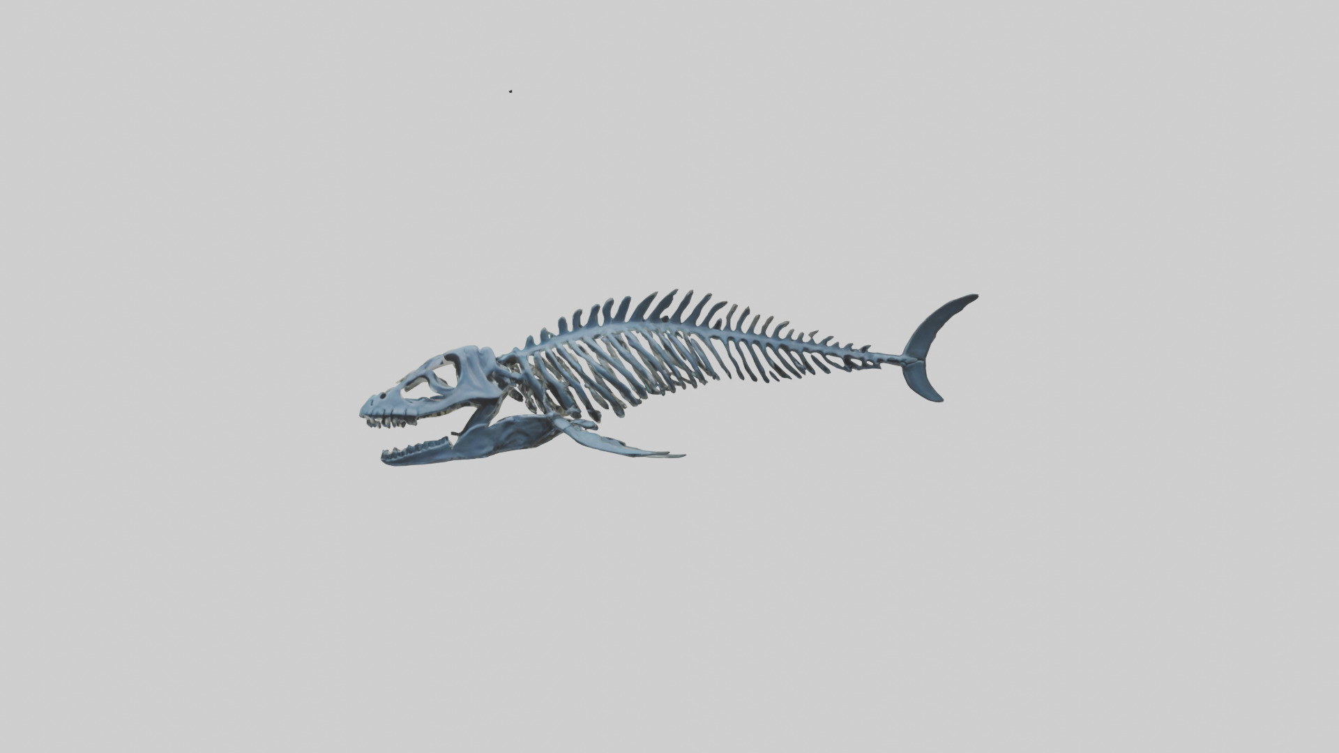 Dunkleosteus Skeleton model Low-poly 3D model_9