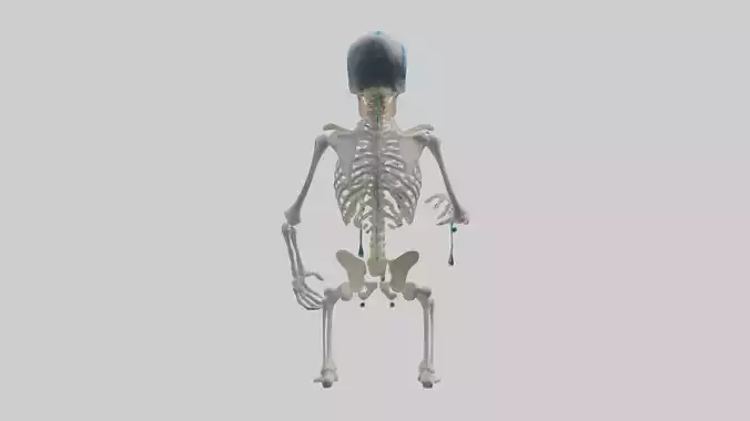 Dripping skeleton model