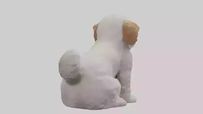 Cockapoo wagging tail model