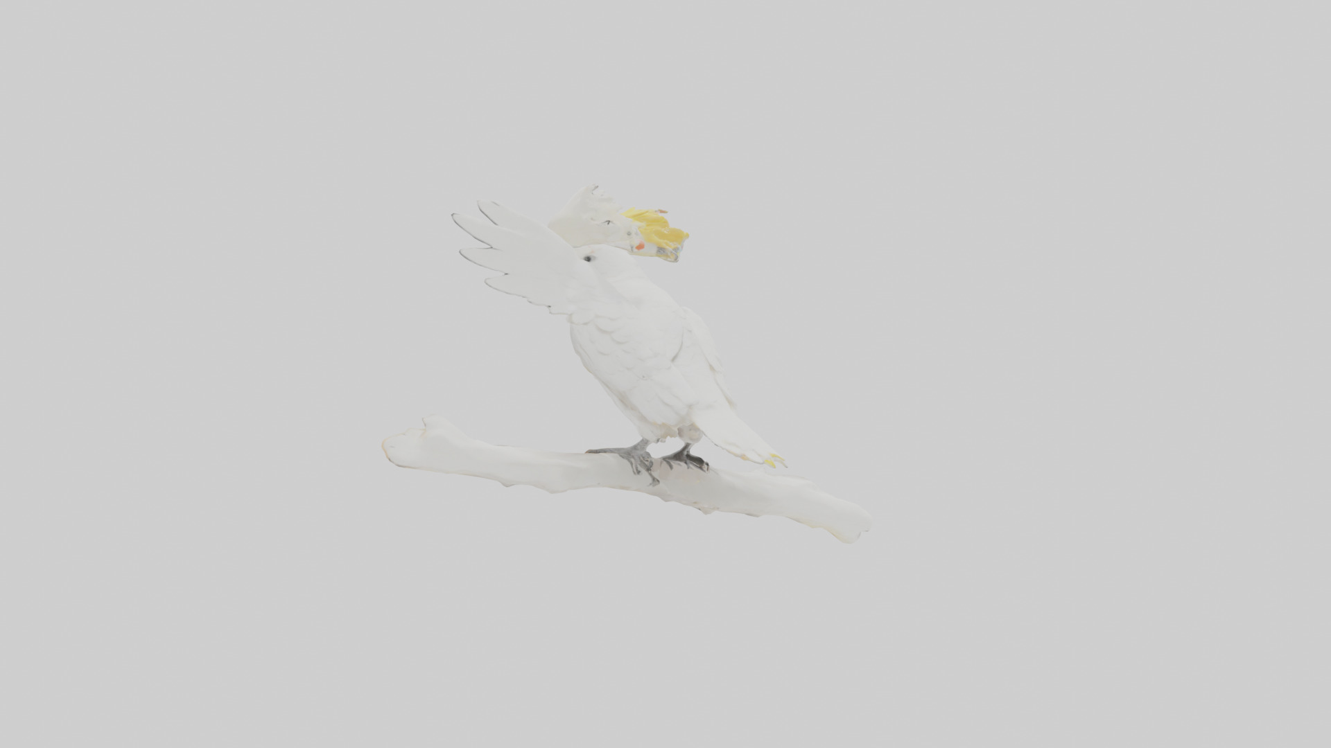 Cockatoo dancing model 3D model_1