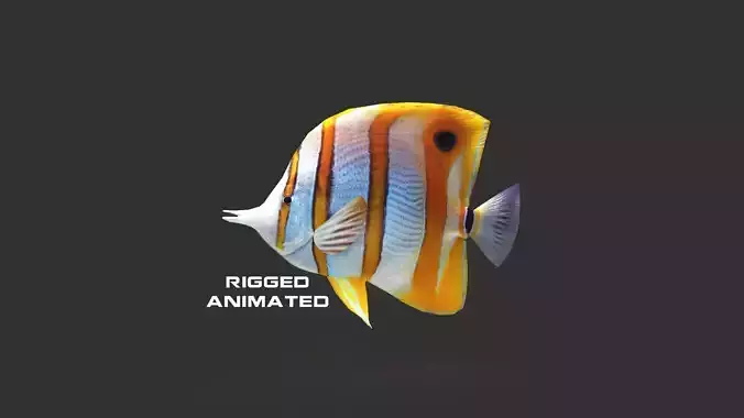 Low-Poly Butterflyfish Animated Low-poly 3D model