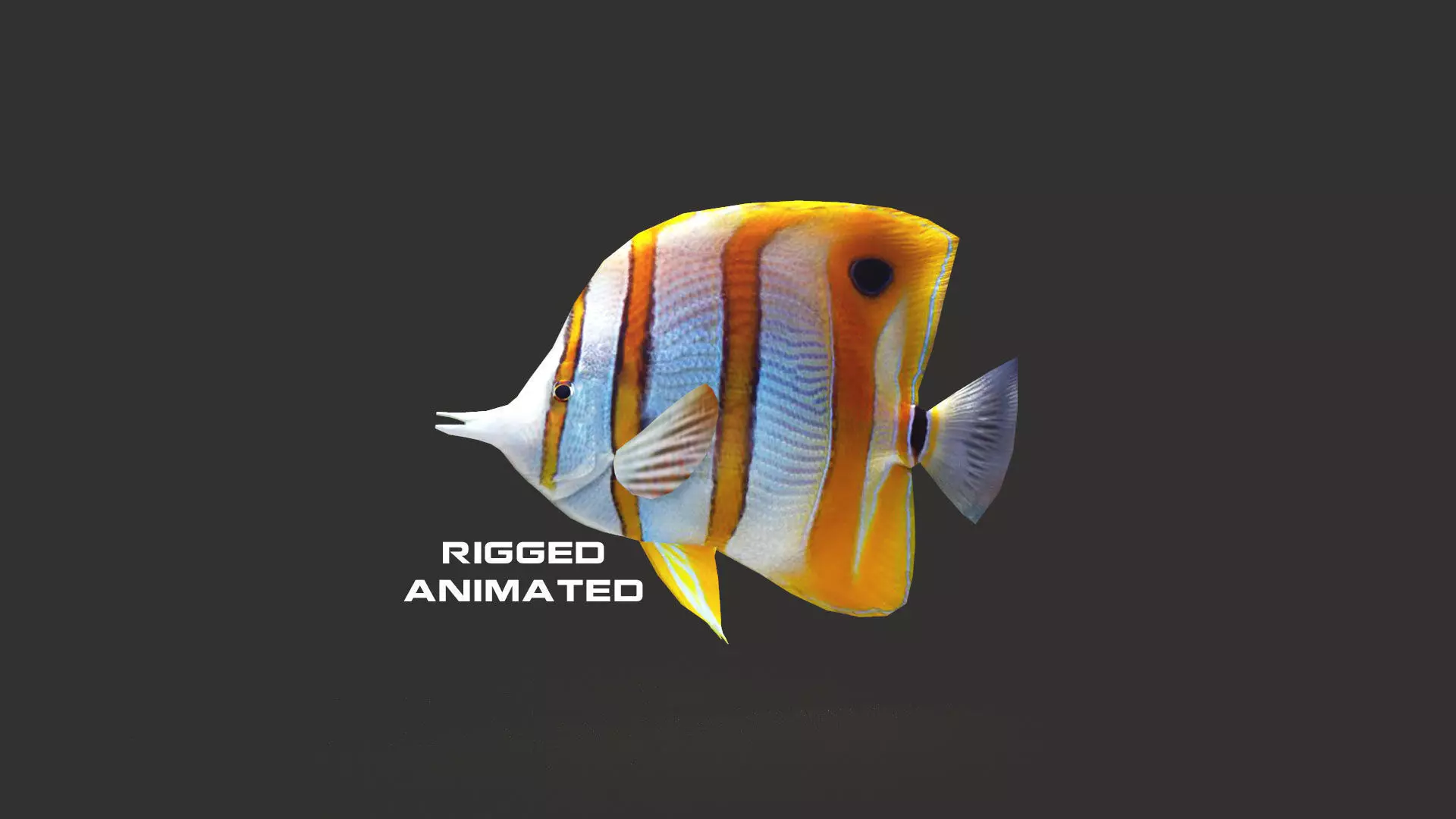 Low-Poly Butterflyfish Animated Low-poly 3D model_0
