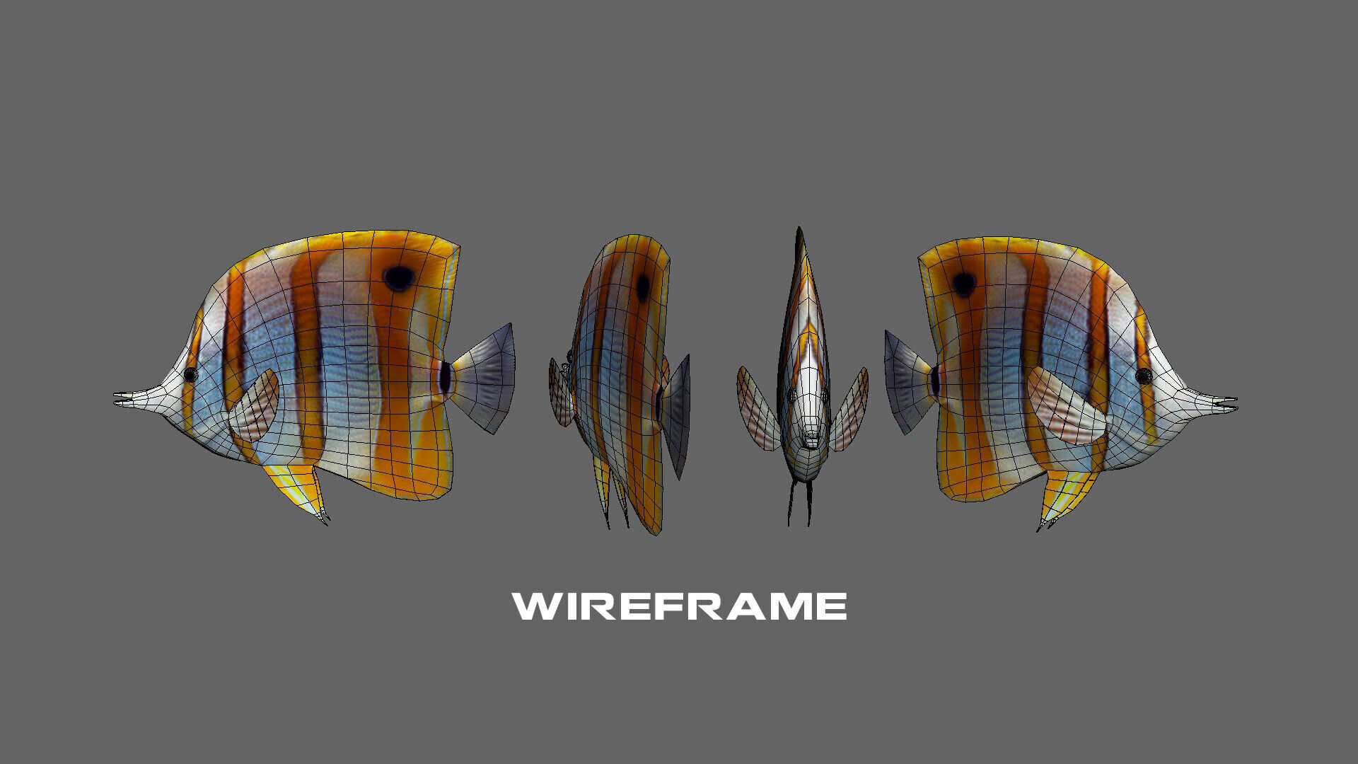 Low-Poly Butterflyfish Animated Low-poly 3D model_8