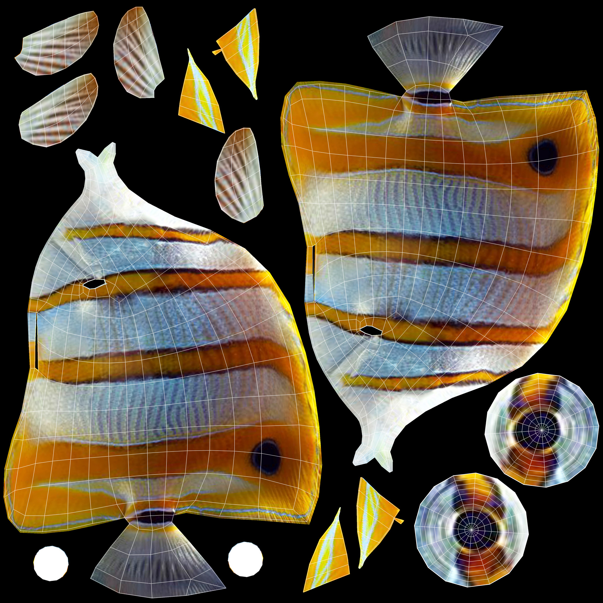 Low-Poly Butterflyfish Animated Low-poly 3D model_6